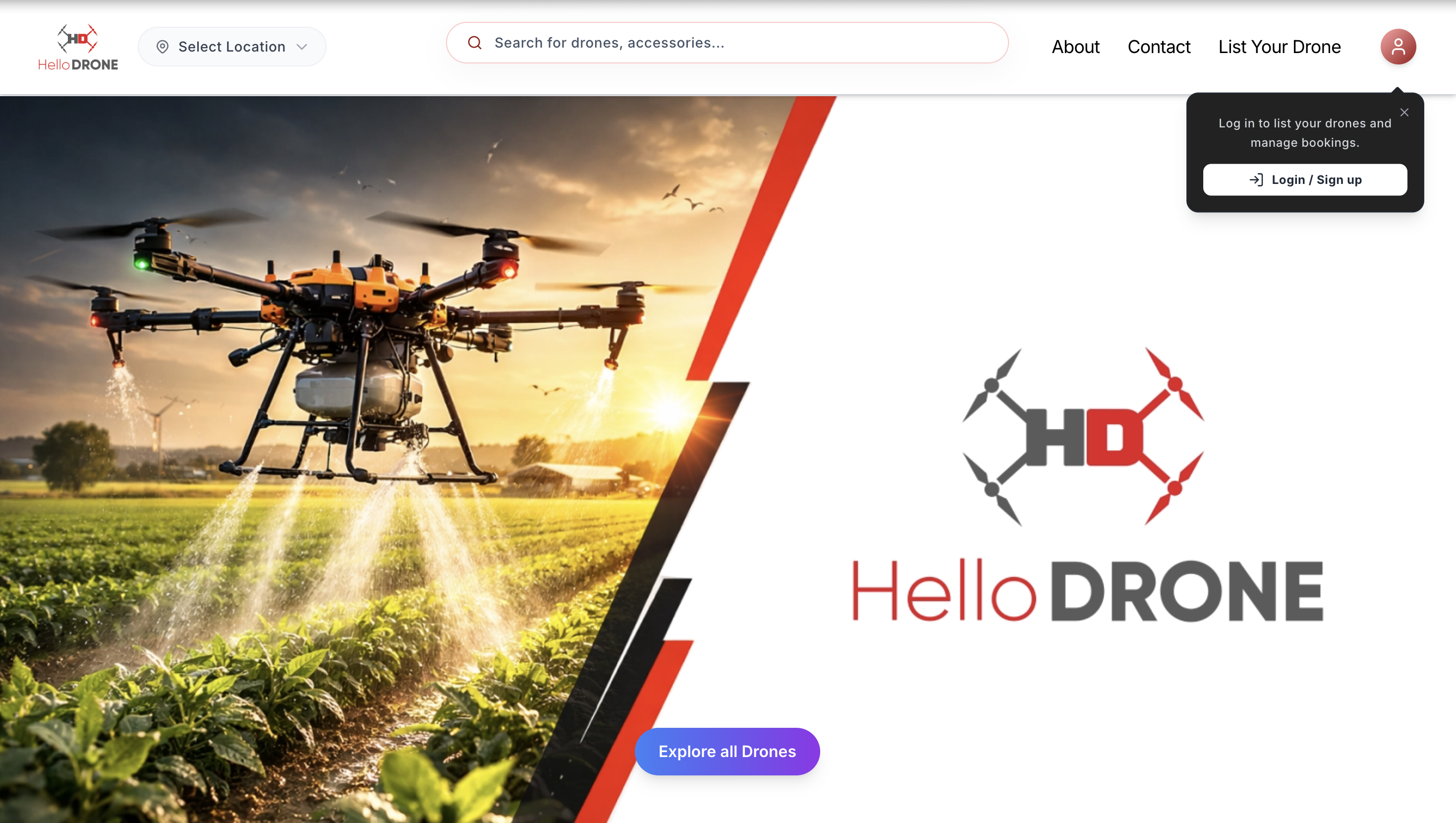 Website Designing